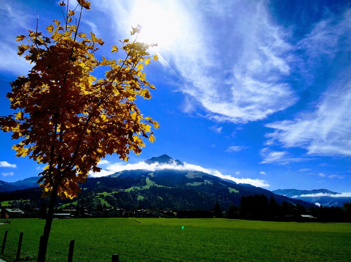 Appartement Rosa St. Johann in Tirol Exterior foto